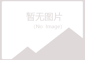 施甸县埋没化学有限公司